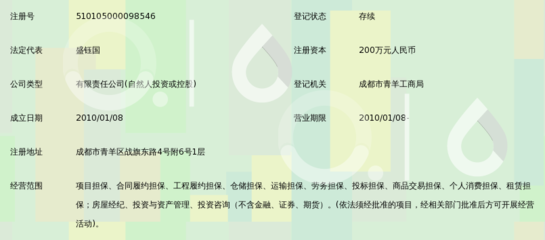 成都市钰龙非融资性担保 租赁交易咨询和担保的专业服务解析