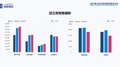 四川电力设计咨询有限责任公司混合所有制改革与租赁交易咨询担保服务解析